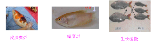 圖片3.png