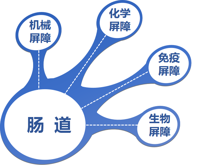 圖片4.png