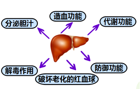 圖片1.png