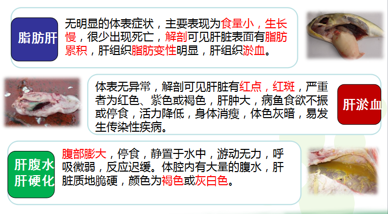 圖片2.png