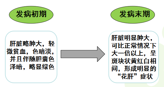 圖片3.png