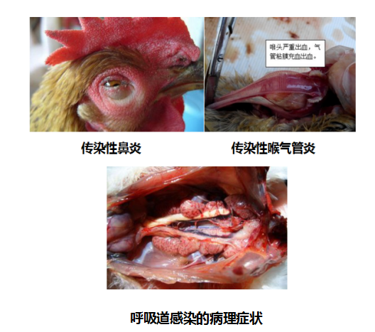 圖片2.png