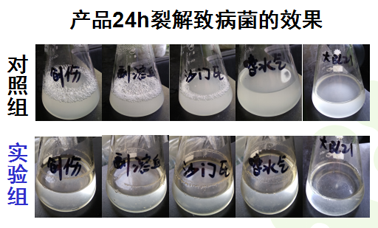 圖片13.png